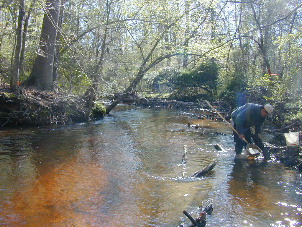Field photo showing stream conditions at site UPCK-229-R-2000-01