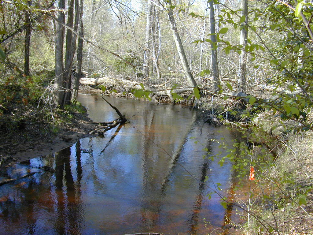 Field photo showing stream conditions at site UPCK-229-R-2000-02