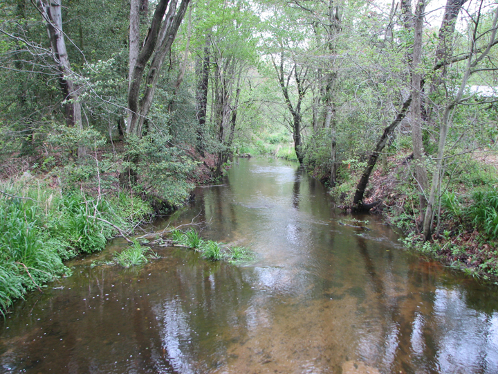 Field photo showing stream conditions at site UPCK-302-A-2008-1