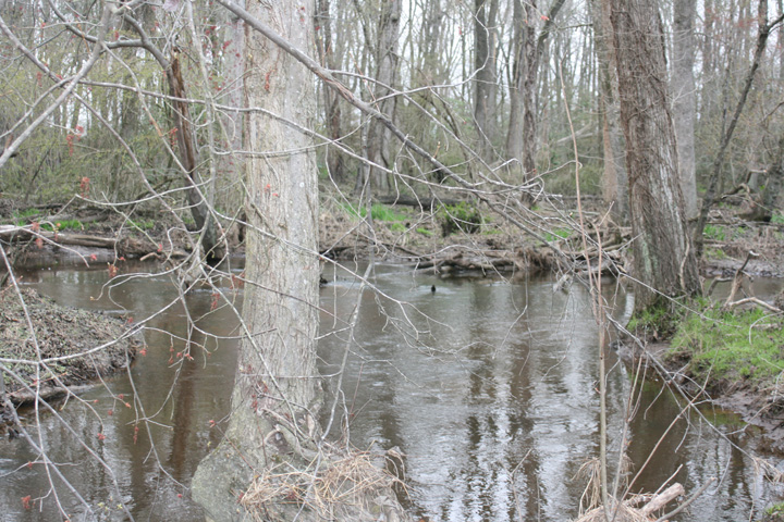 Field photo showing stream conditions at site UPCK-309-A-2010-1