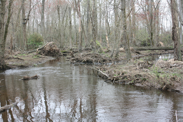 Field photo showing stream conditions at site UPCK-309-A-2010-2