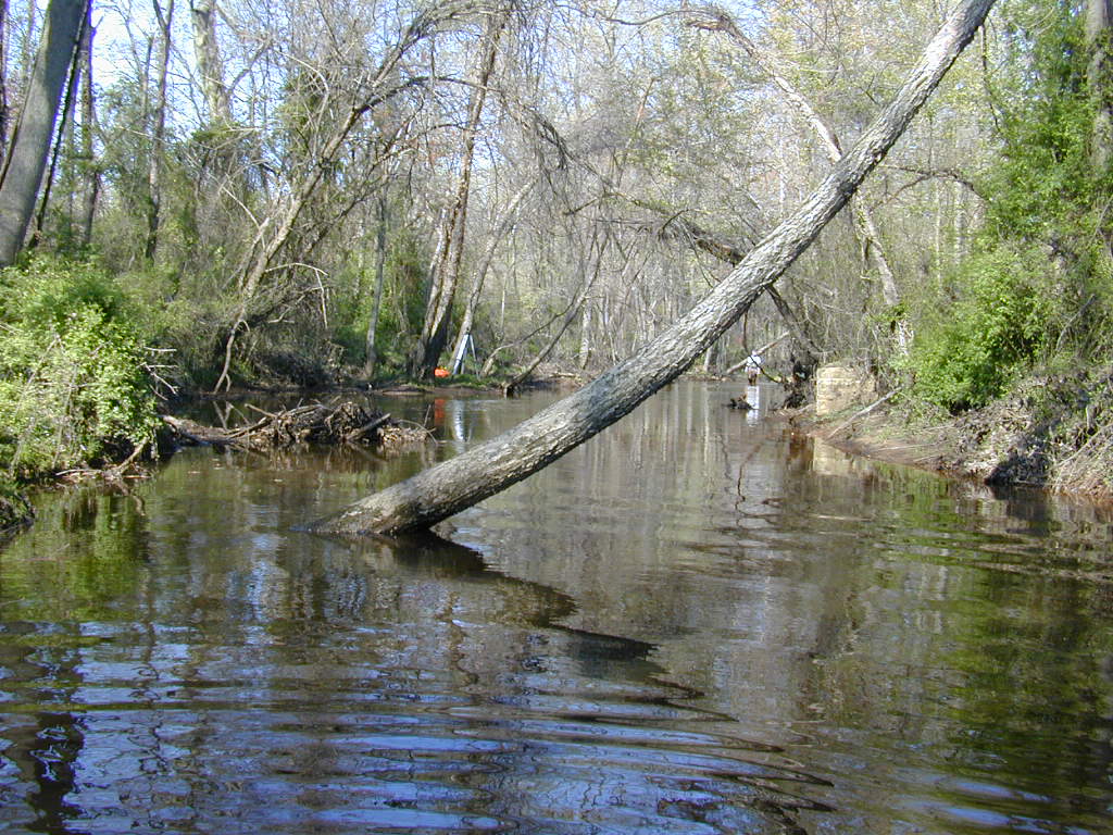 Field photo showing stream conditions at site UPCK-311-R-2000-01