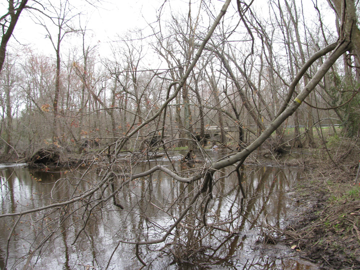 Field photo showing stream conditions at site UPCK-405-H-2010-1