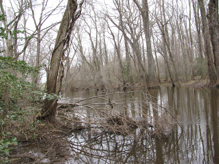 Field photo showing stream conditions at site UPCK-405-H-2010-2