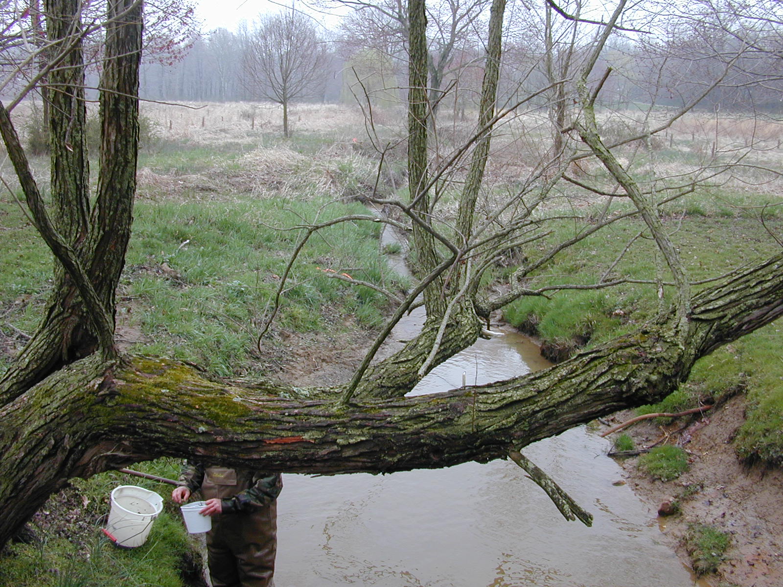 Field photo showing stream conditions at site UPCR-101-R-2004-1