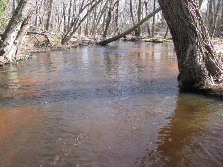 Field photo showing stream conditions at site UPCR-101-X-2011-1