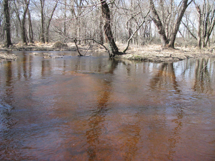 Field photo showing stream conditions at site UPCR-101-X-2011-2