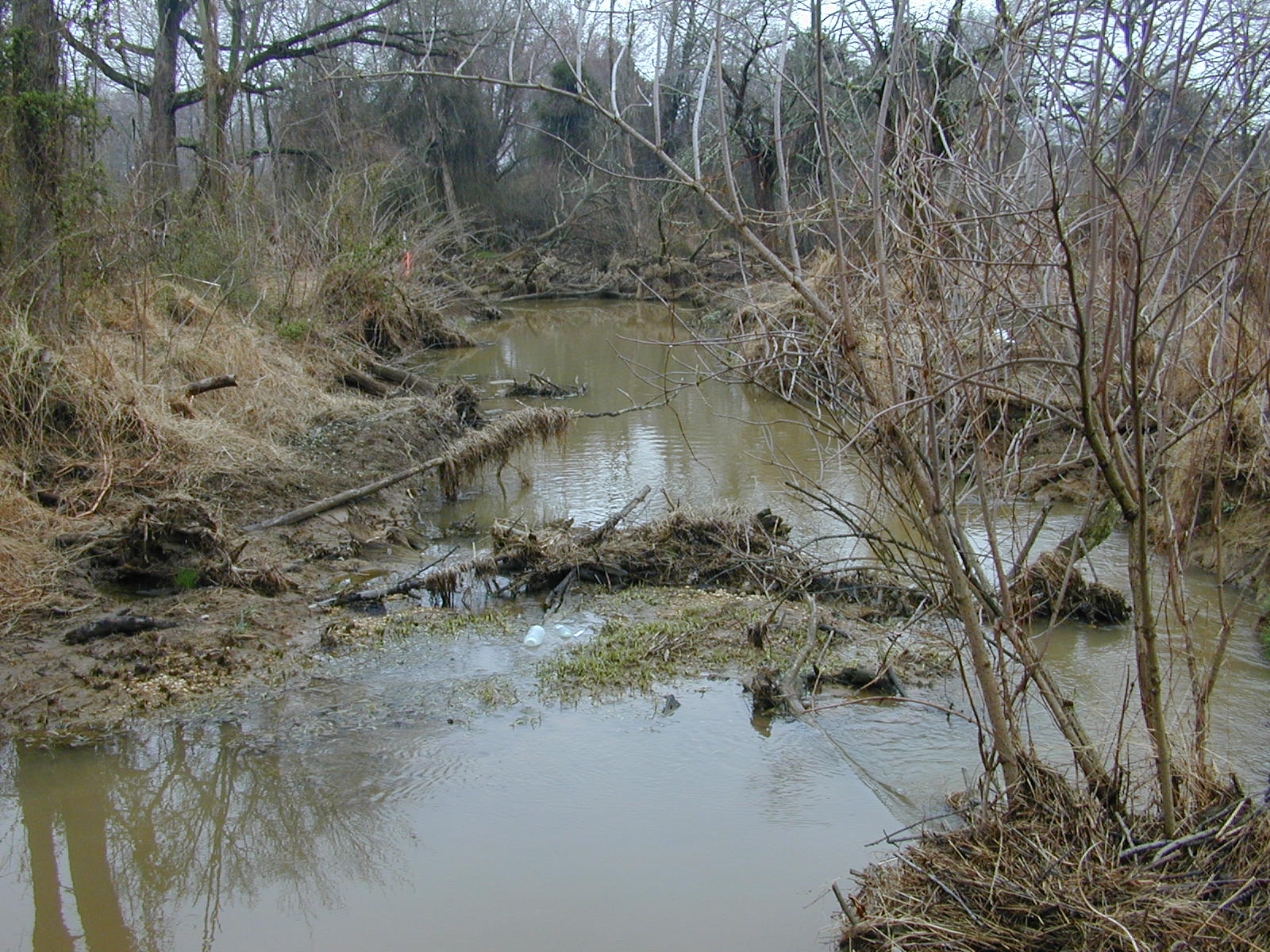 Field photo showing stream conditions at site UPCR-102-R-2004-1