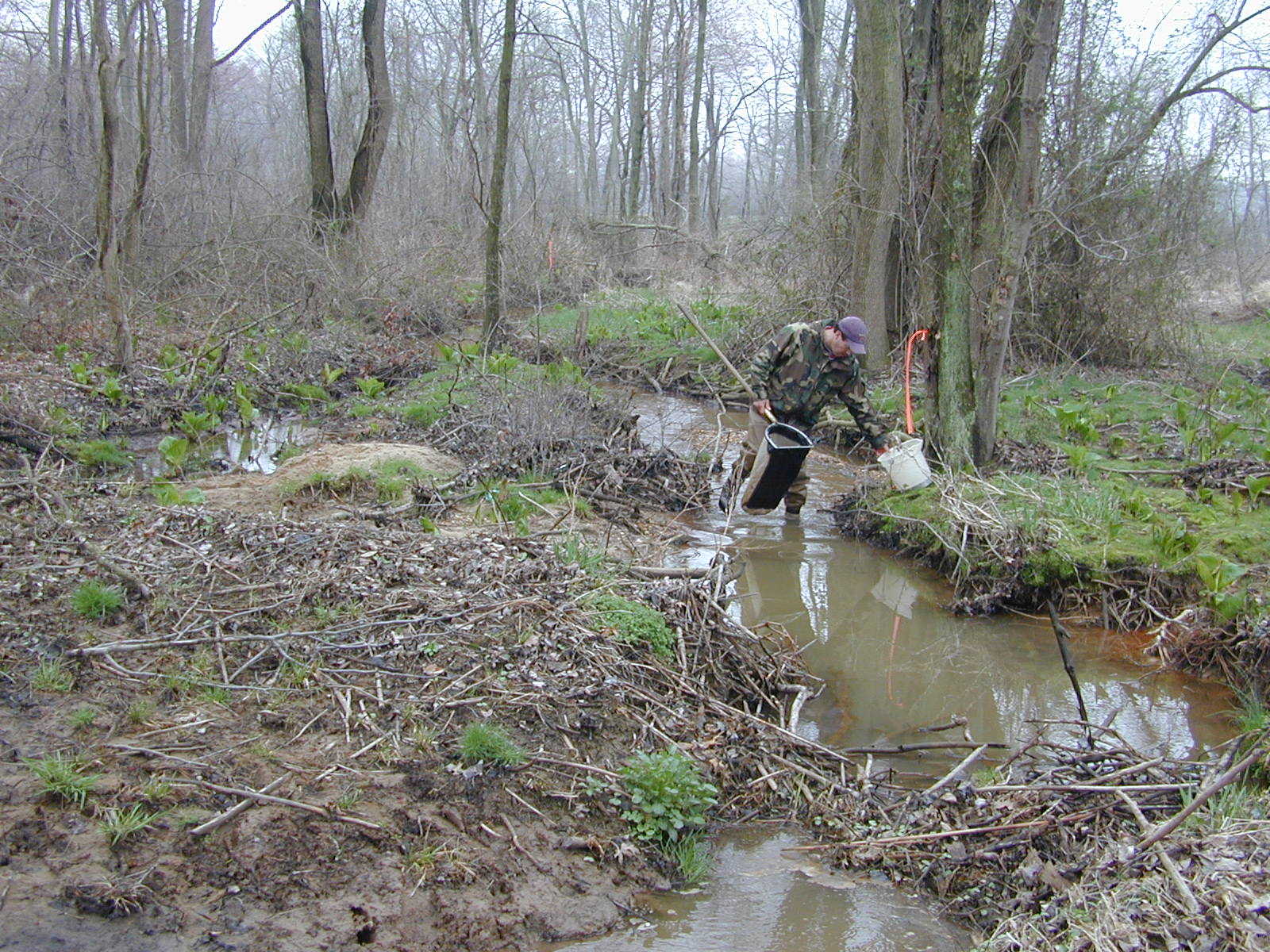 Field photo showing stream conditions at site UPCR-104-R-2004-1