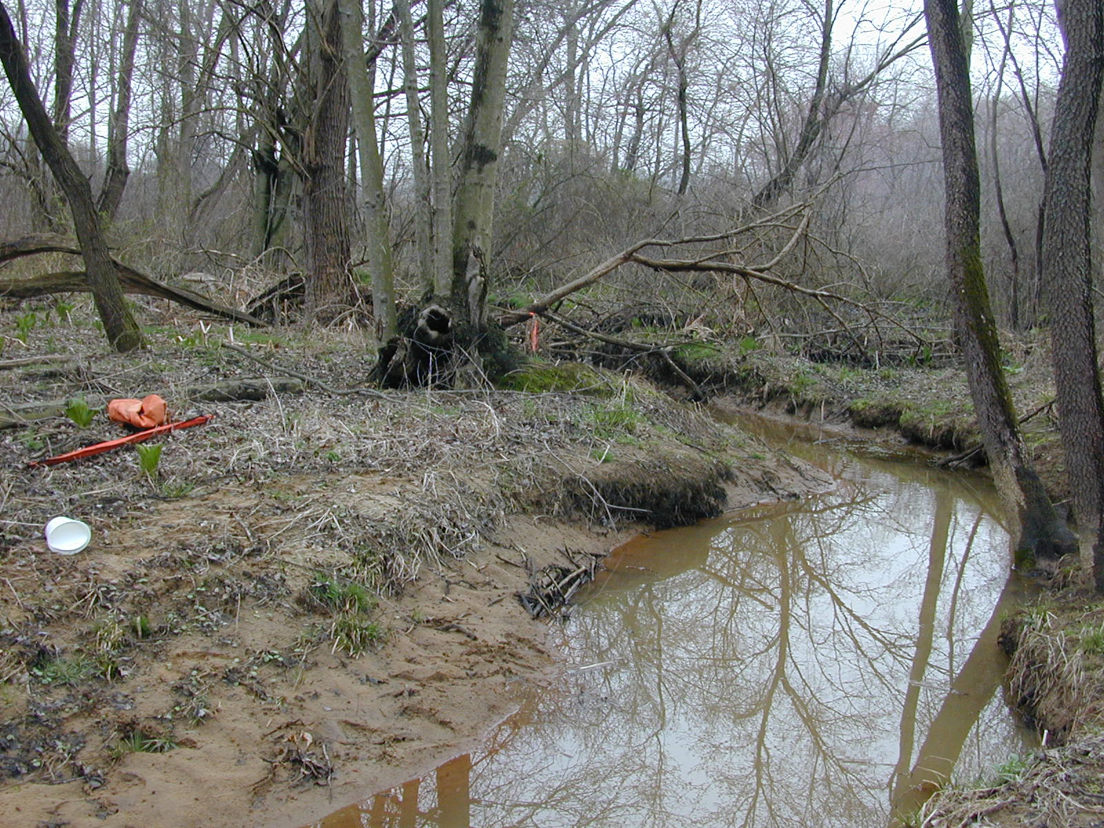 Field photo showing stream conditions at site UPCR-104-R-2004-2