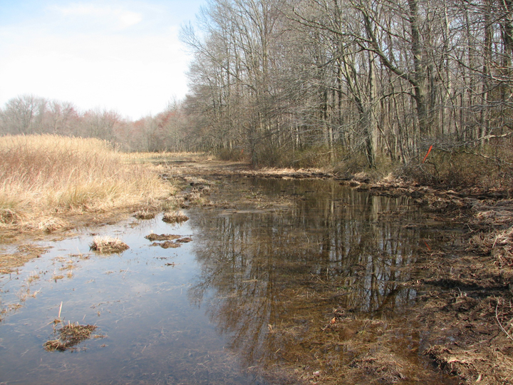 Field photo showing stream conditions at site UPCR-105-R-2008-1