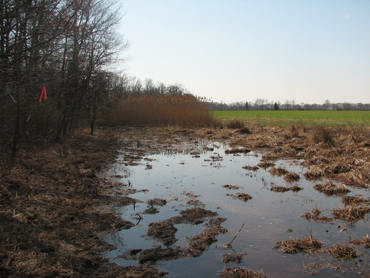 Field photo showing stream conditions at site UPCR-105-R-2008-2