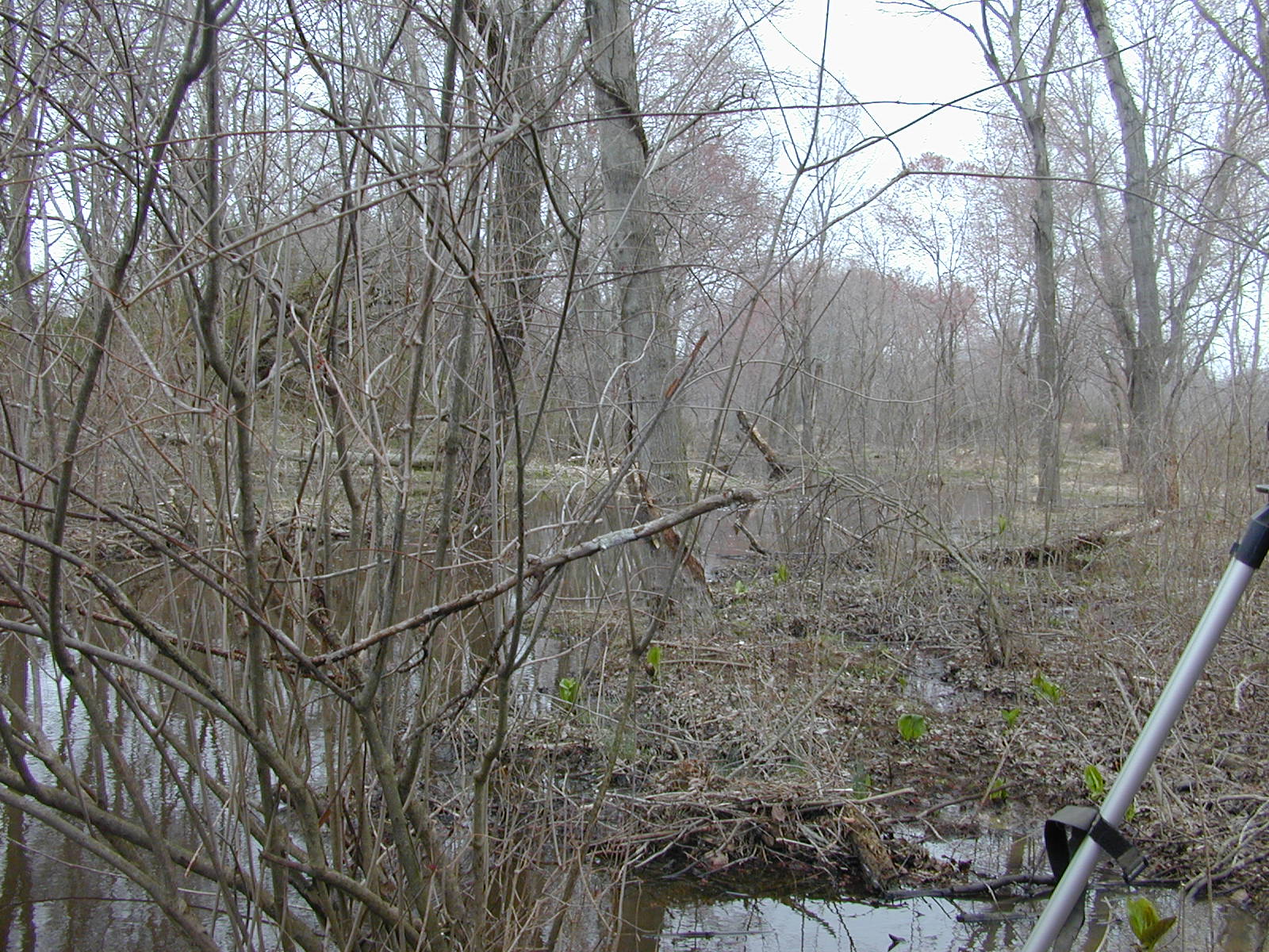 Field photo showing stream conditions at site UPCR-106-R-2004-1