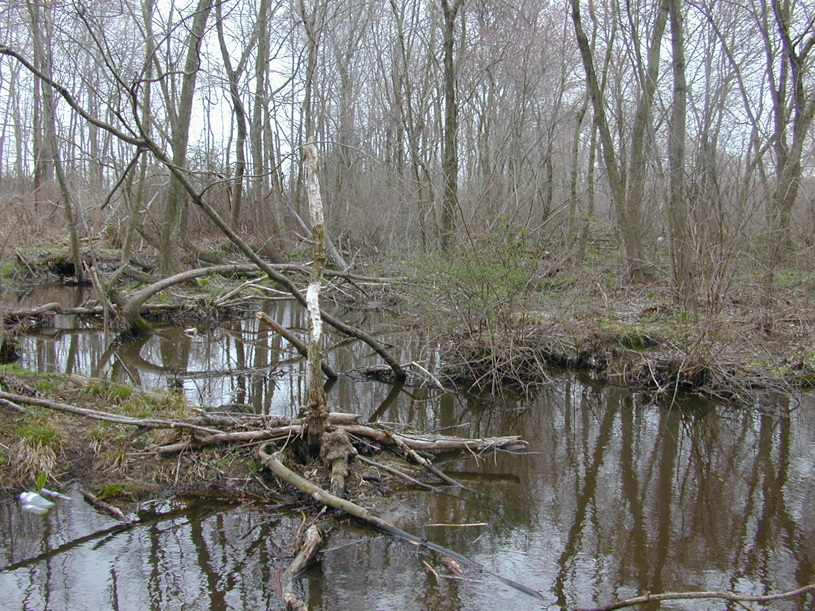 Field photo showing stream conditions at site UPCR-106-R-2004-2