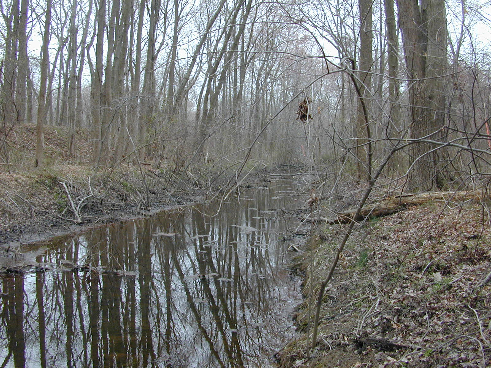 Field photo showing stream conditions at site UPCR-107-R-2004-1