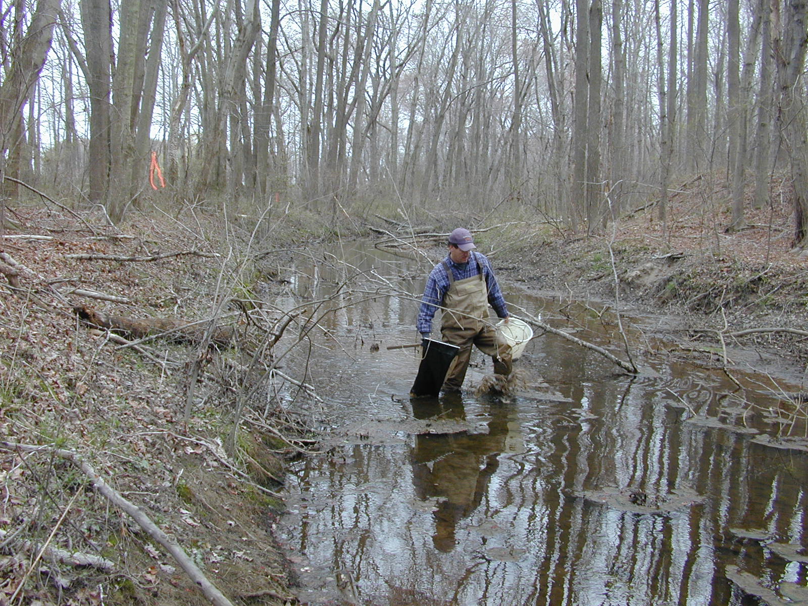 Field photo showing stream conditions at site UPCR-107-R-2004-2