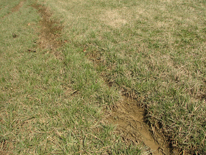 Field photo showing stream conditions at site UPCR-108-R-2008-1
