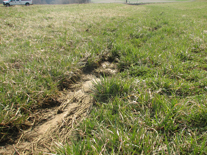 Field photo showing stream conditions at site UPCR-108-R-2008-2