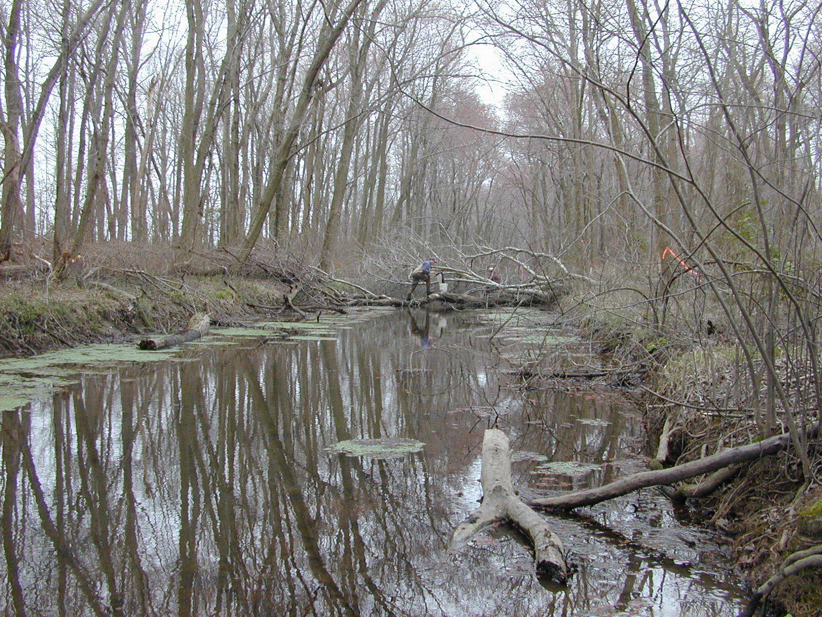 Field photo showing stream conditions at site UPCR-112-R-2004-1