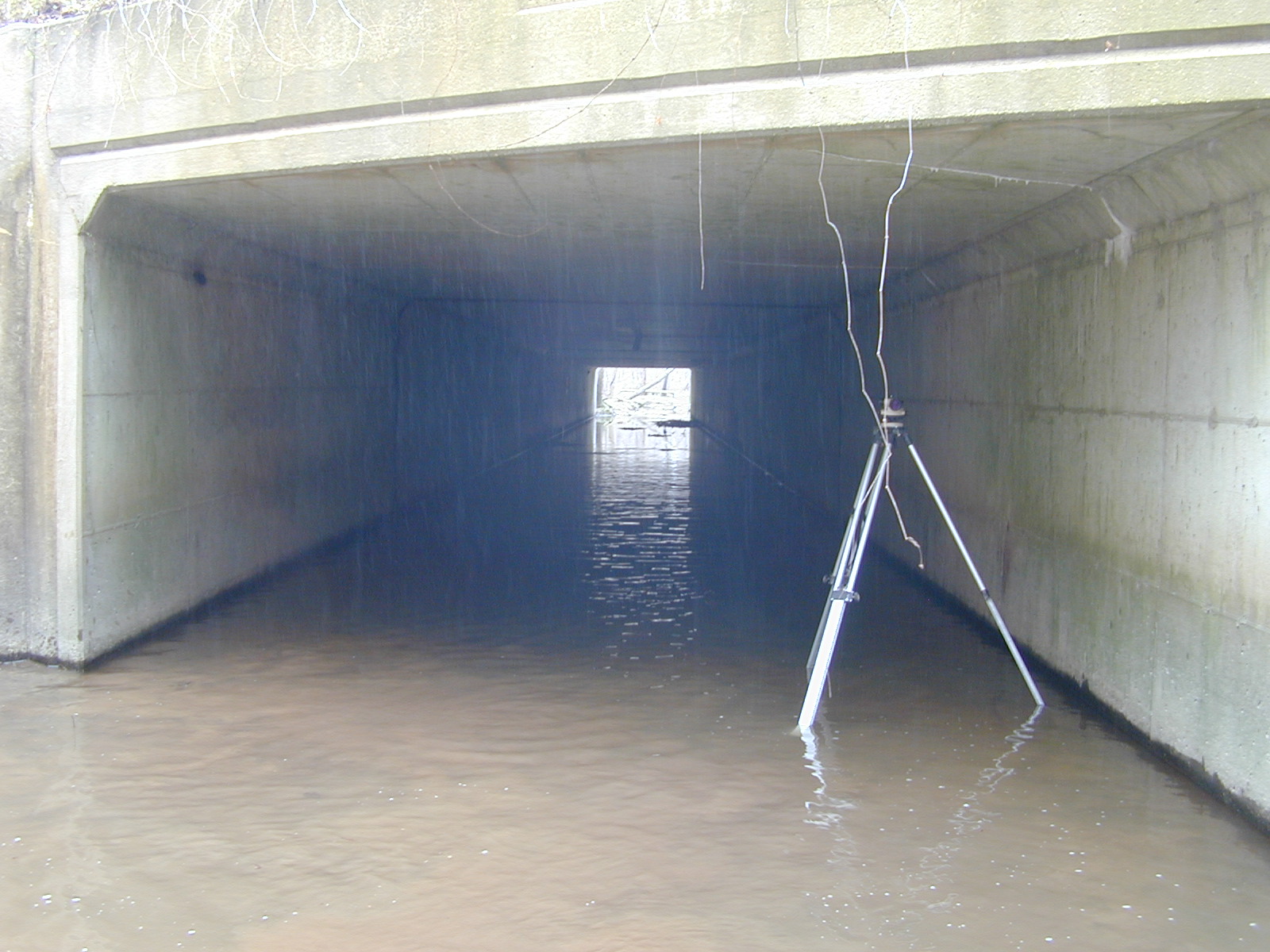 Field photo showing stream conditions at site UPCR-115-R-2004-2