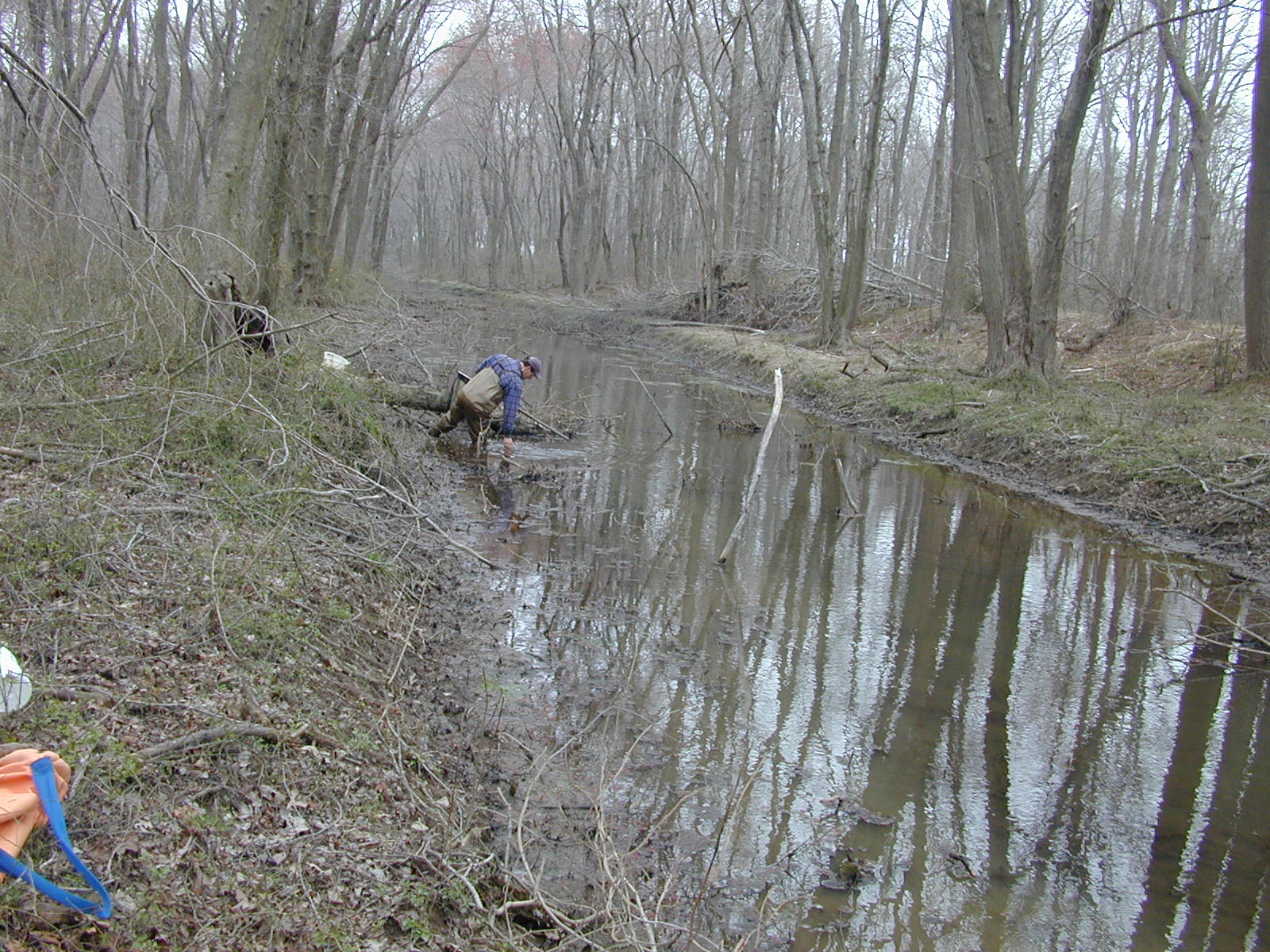 Field photo showing stream conditions at site UPCR-116-R-2004-2