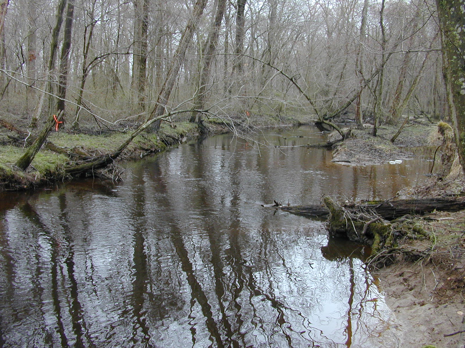 Field photo showing stream conditions at site UPCR-208-R-2004-1