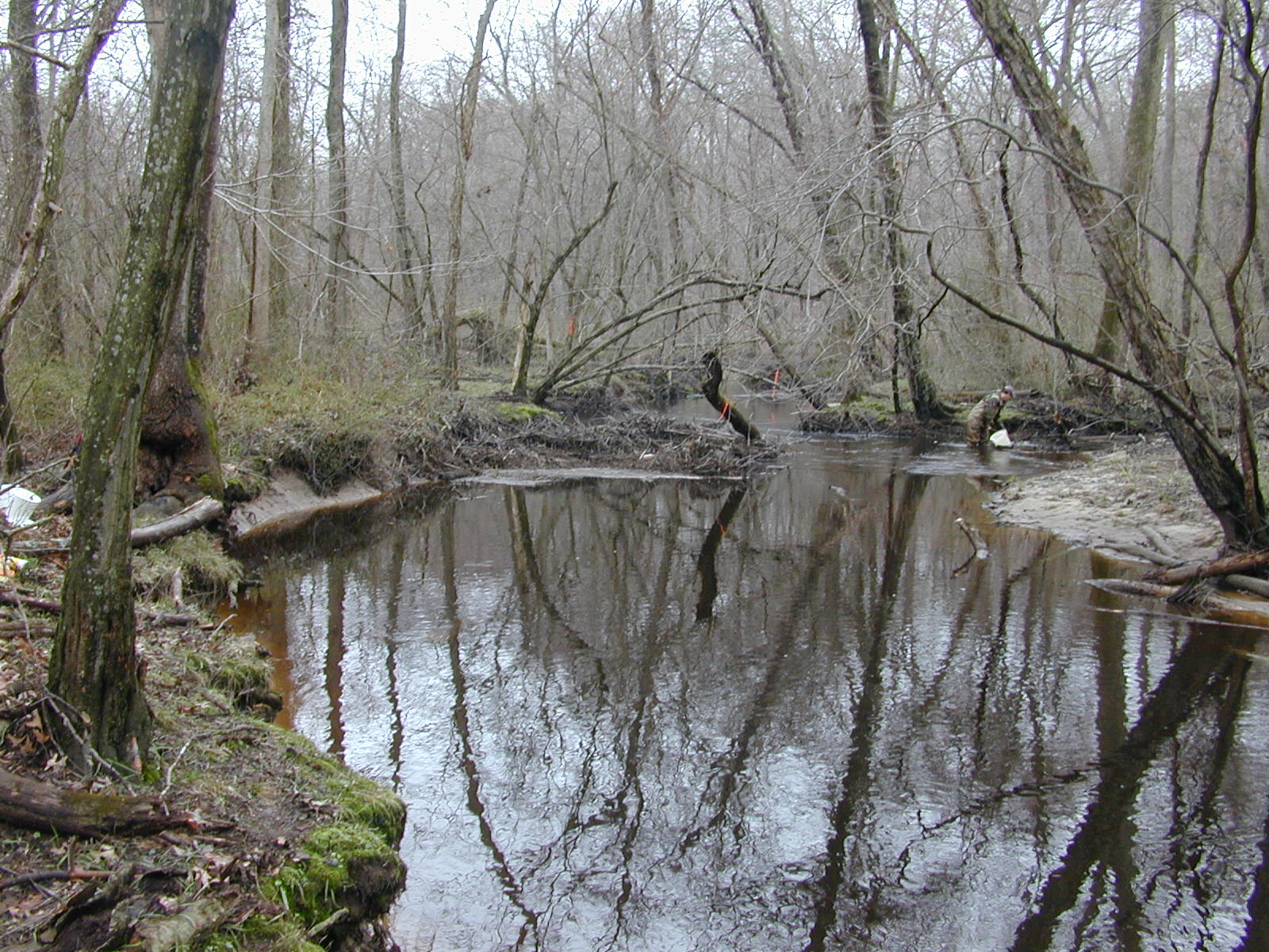 Field photo showing stream conditions at site UPCR-208-R-2004-2