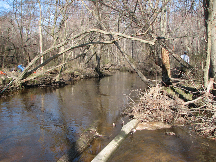 Field photo showing stream conditions at site UPCR-208-S-2008-1