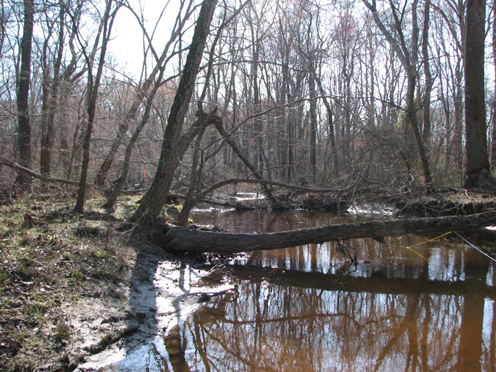 Field photo showing stream conditions at site UPCR-208-S-2008-2