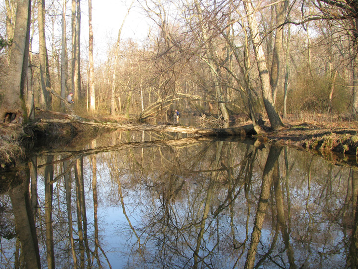 Field photo showing stream conditions at site UPCR-208-S-2009-1