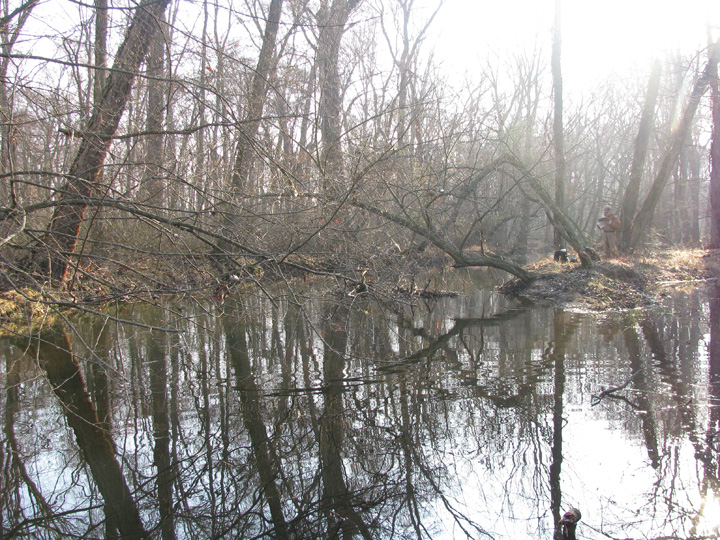 Field photo showing stream conditions at site UPCR-208-S-2009-2