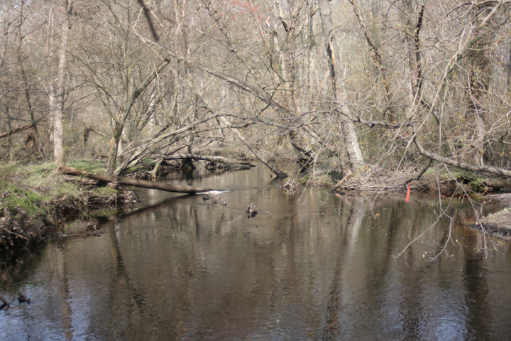 Field photo showing stream conditions at site UPCR-208-S-2010-2