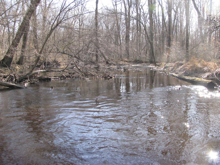 Field photo showing stream conditions at site UPCR-208-S-2011-1