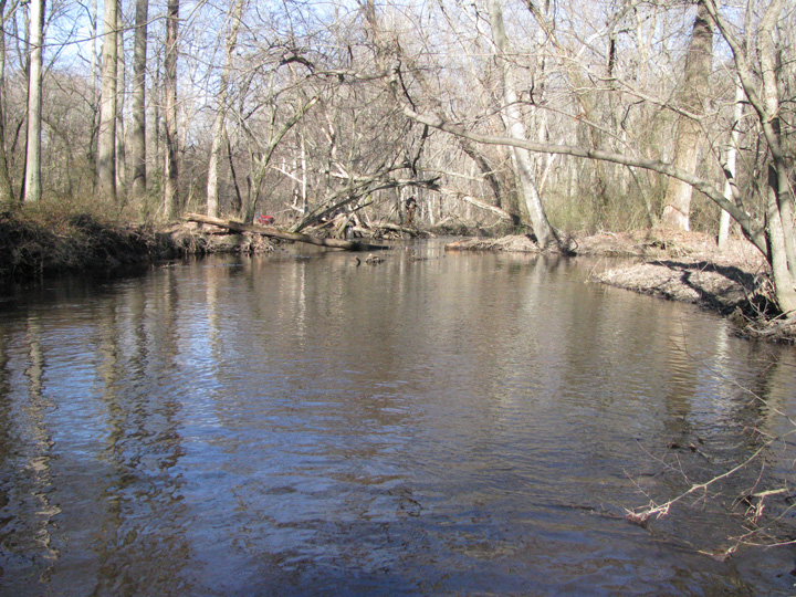 Field photo showing stream conditions at site UPCR-208-S-2011-2