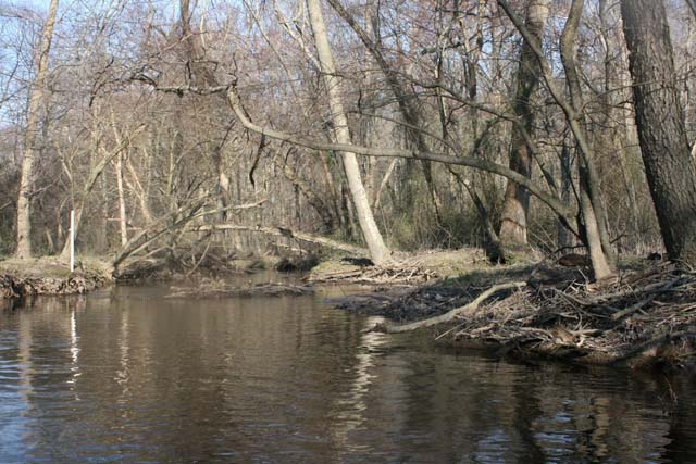 Field photo showing stream conditions at site UPCR-208-S-2012-MidpointPdownstream