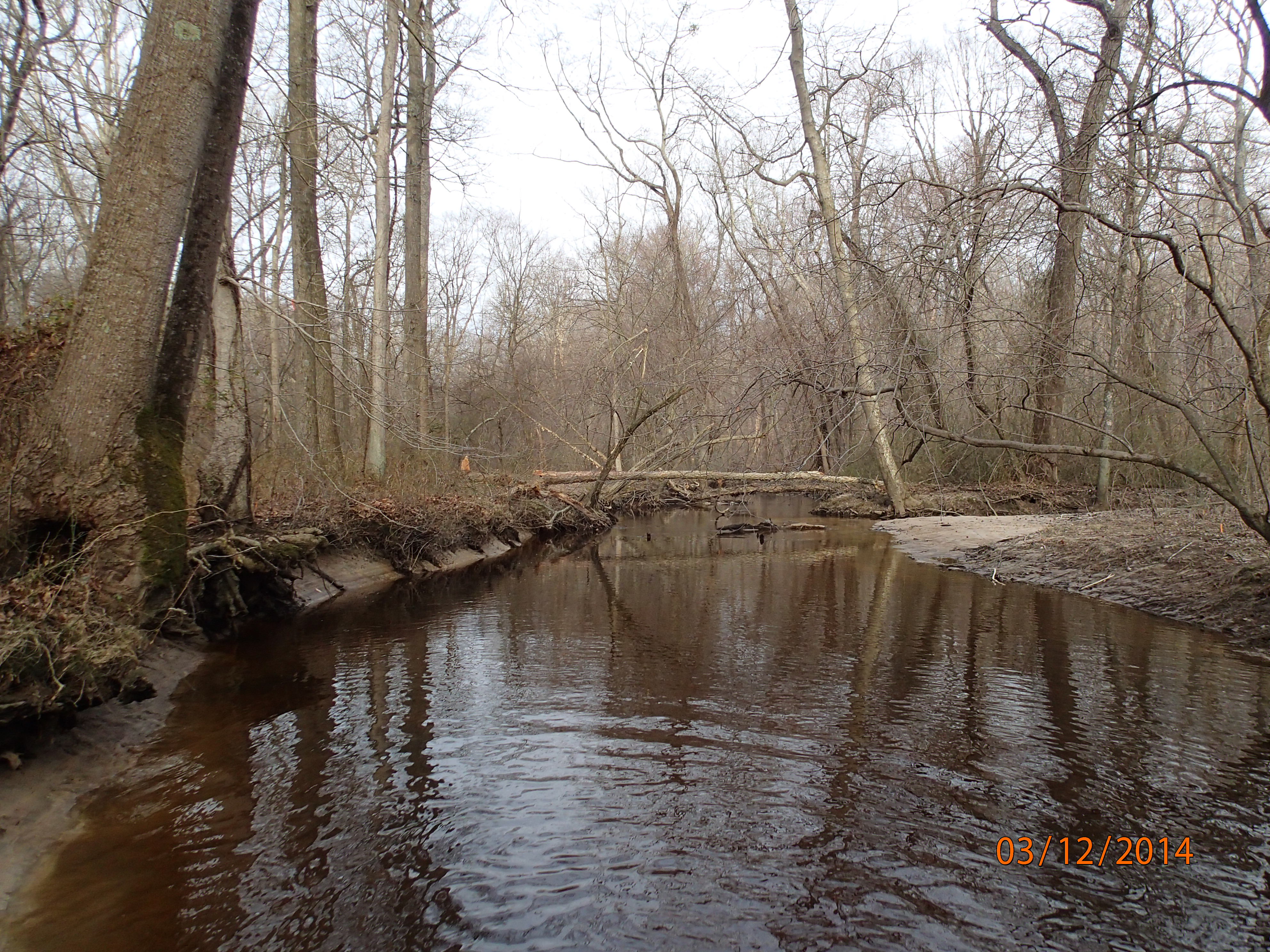 Field photo showing stream conditions at site UPCR-208-S-2014-MidpointDownstream