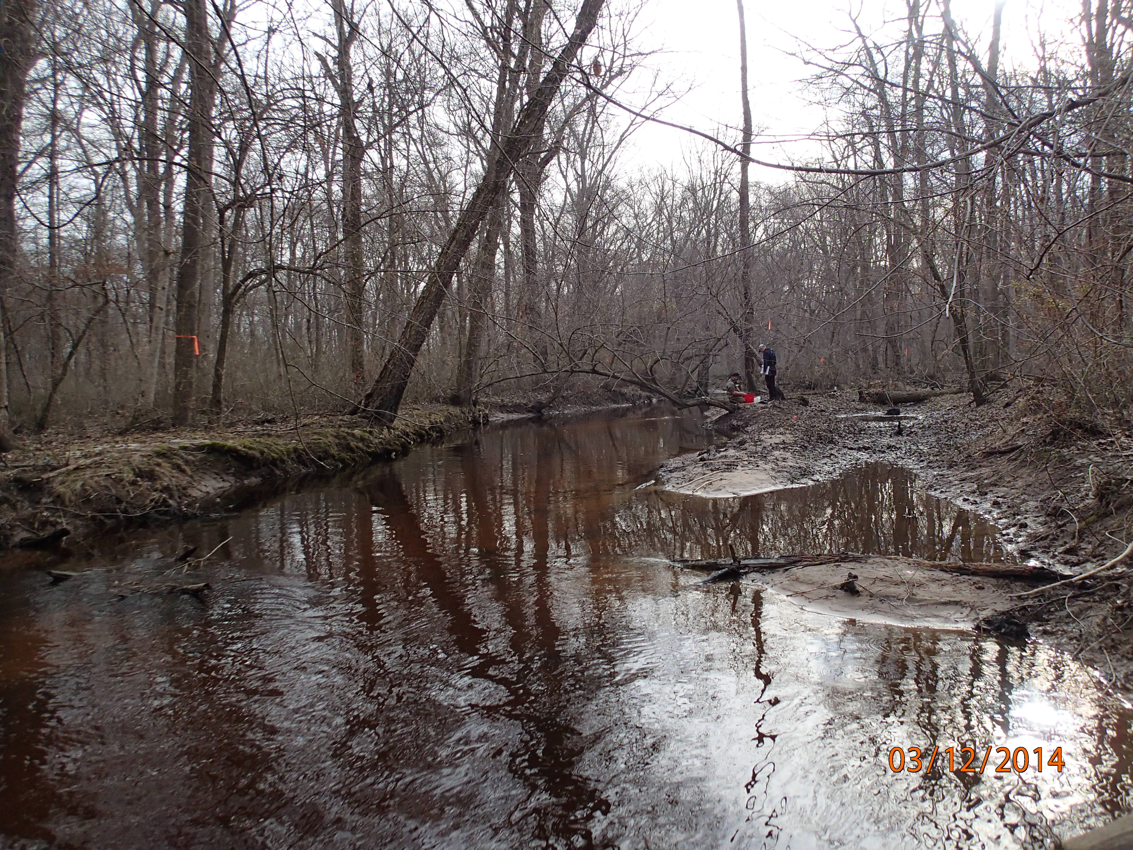 Field photo showing stream conditions at site UPCR-208-S-2014-MidpointUpstream