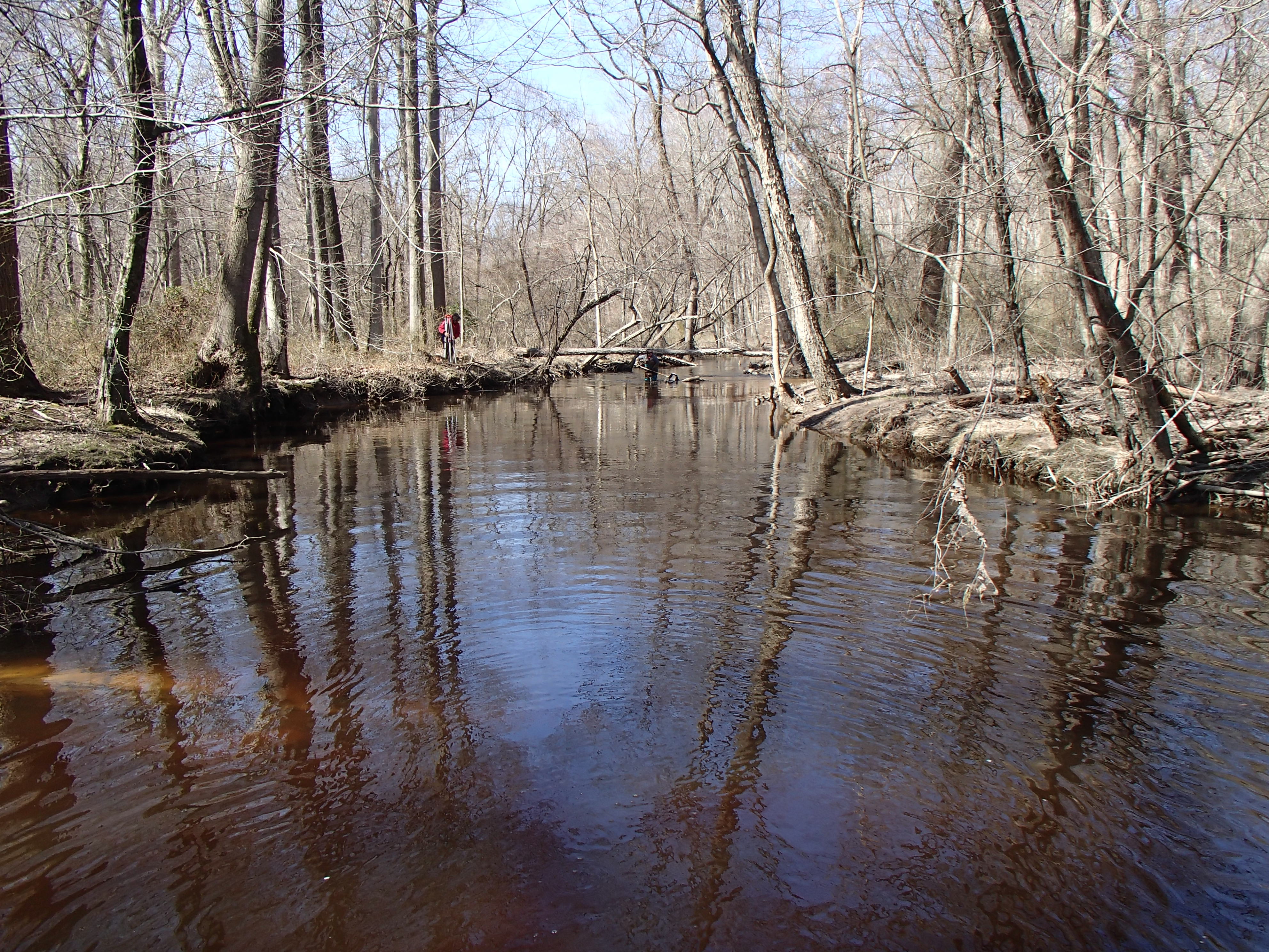 Field photo showing stream conditions at site UPCR-208-S-2015_Midpoint-downstream