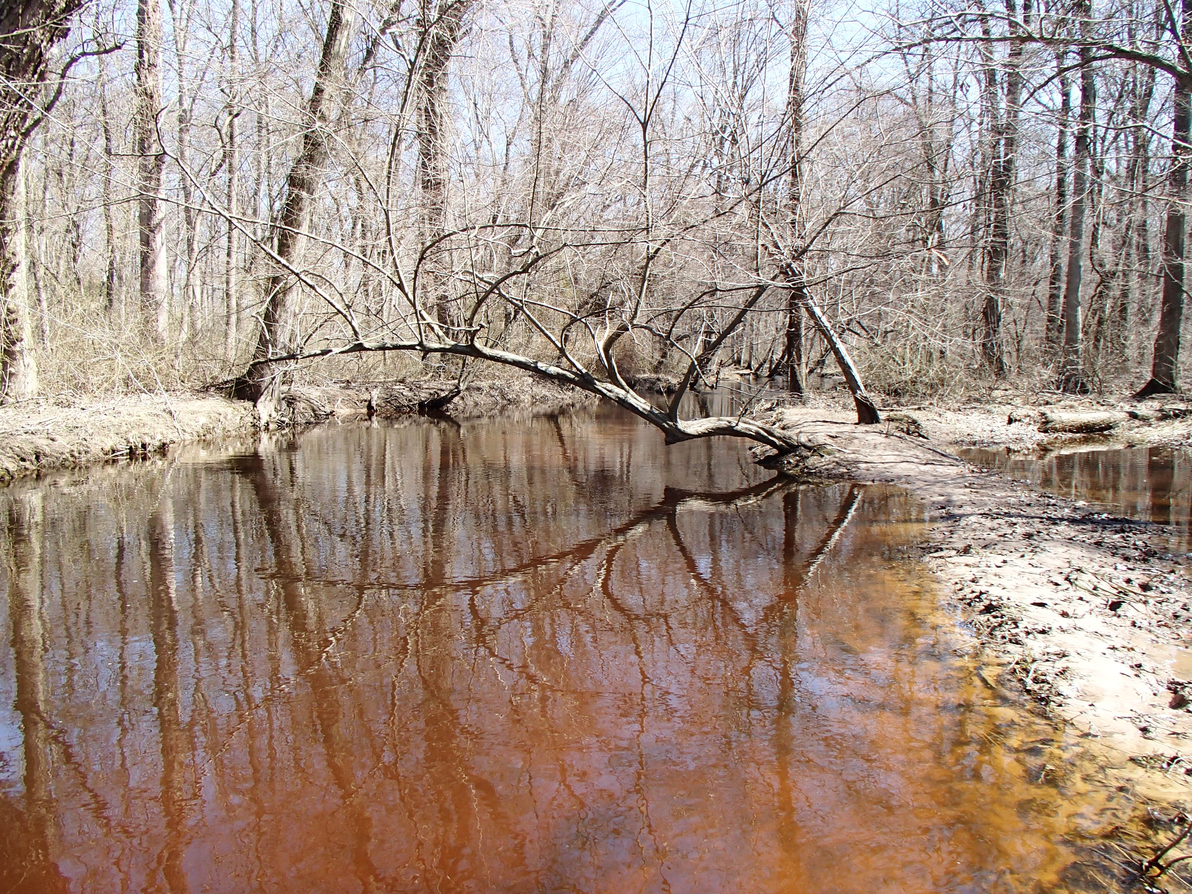 Field photo showing stream conditions at site UPCR-208-S-2015_Midpoint-upstream