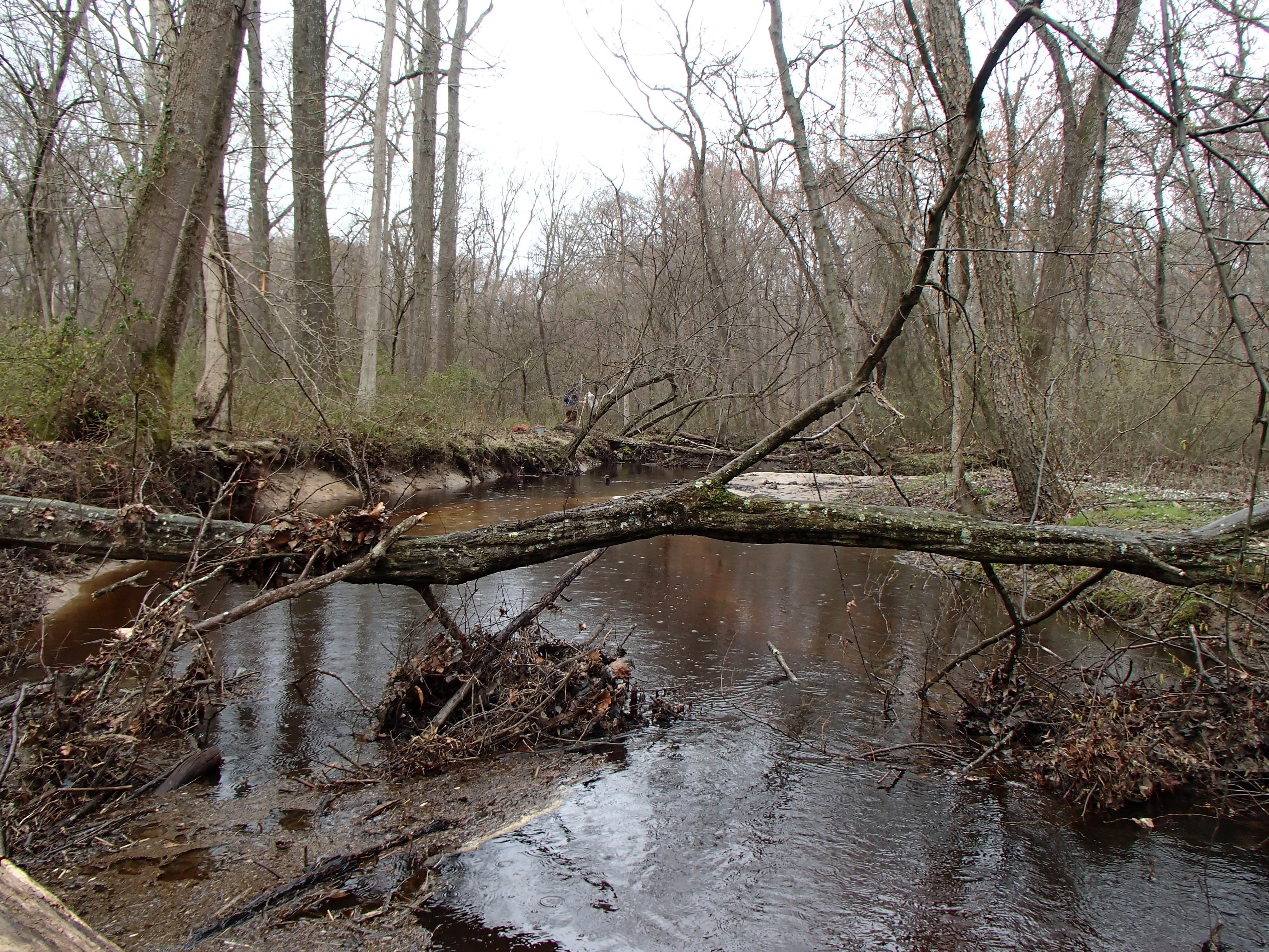 Field photo showing stream conditions at site UPCR-208-S-2017-MidpointLookingDownstream