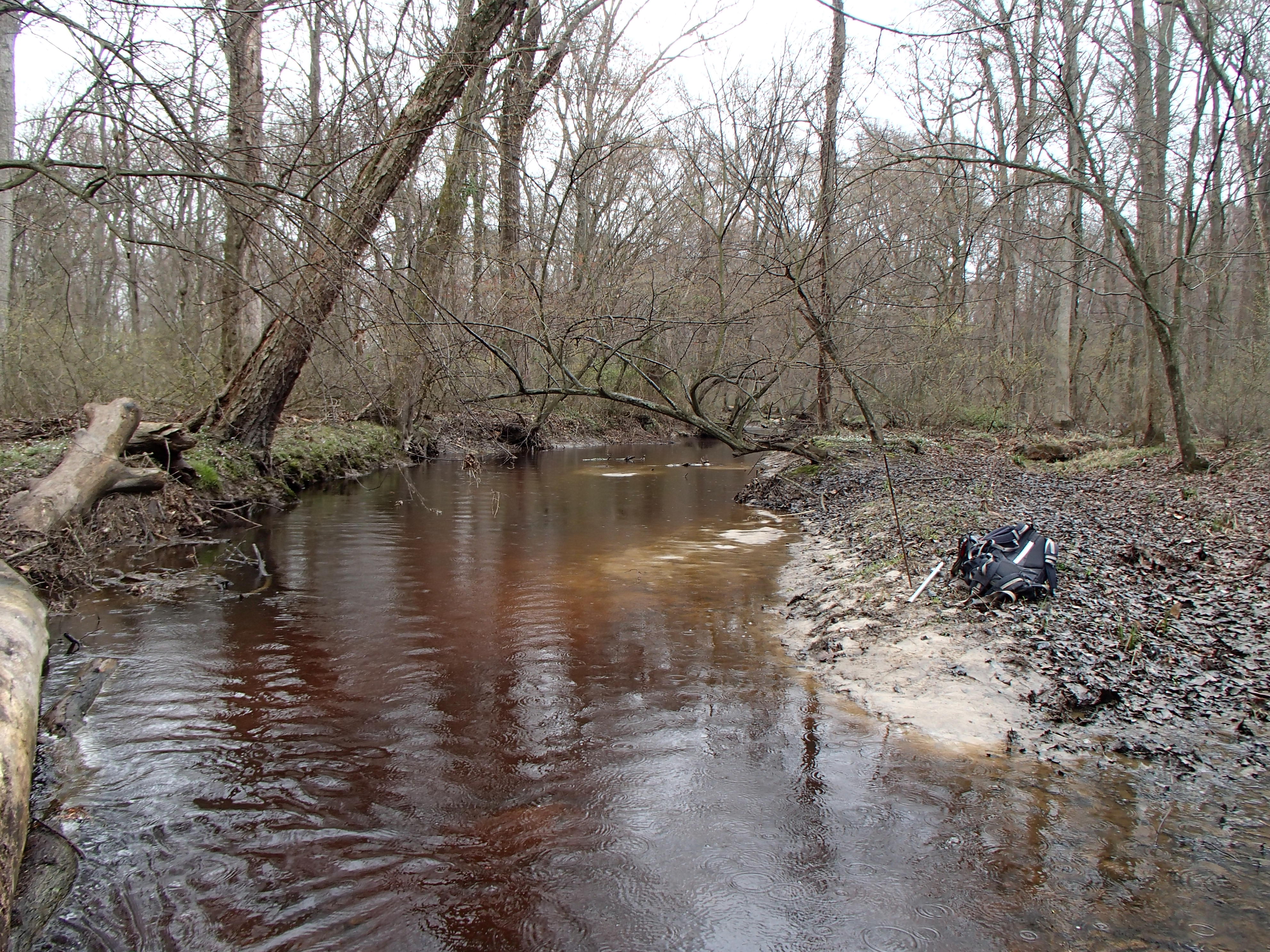 Field photo showing stream conditions at site UPCR-208-S-2017-MidpointLookingUpstream