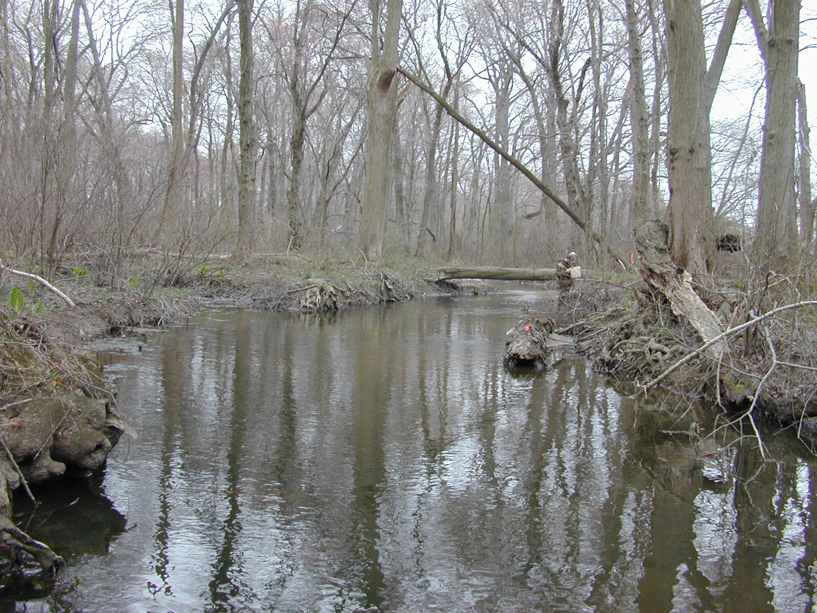 Field photo showing stream conditions at site UPCR-214-R-2004-1