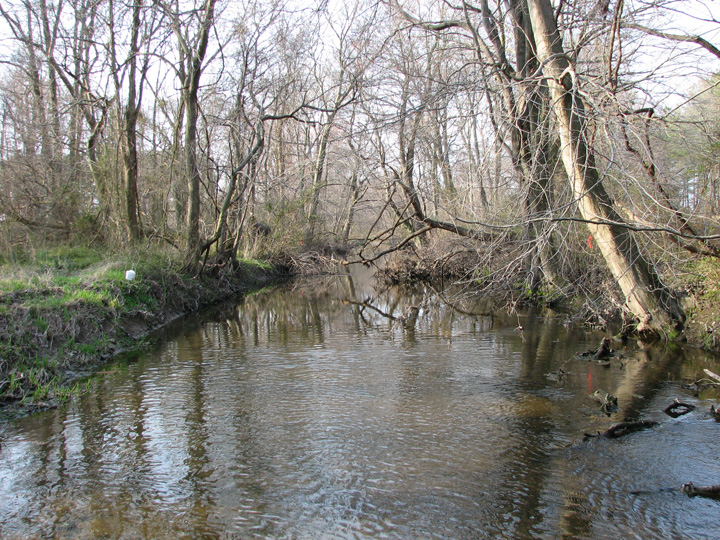 Field photo showing stream conditions at site UPCR-224-A-2007-1