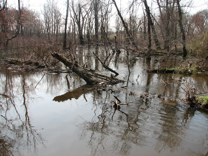 Field photo showing stream conditions at site UPCR-301-R-2008-1