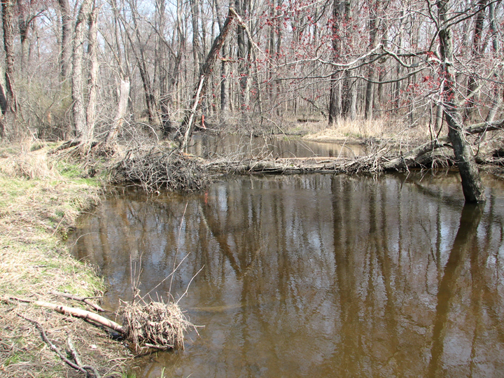 Field photo showing stream conditions at site UPCR-301-R-2008-2