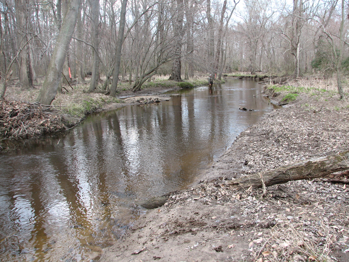 Field photo showing stream conditions at site UPCR-306-R-2008-1