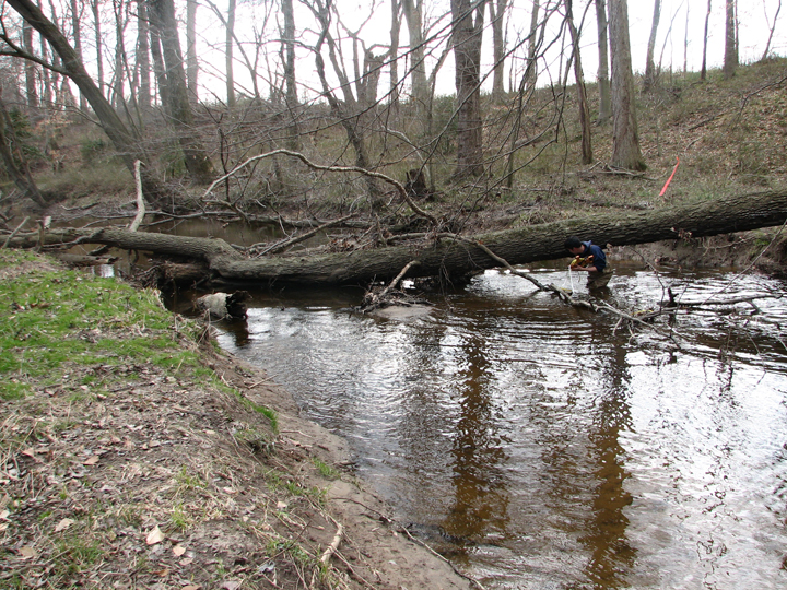 Field photo showing stream conditions at site UPCR-306-R-2008-2