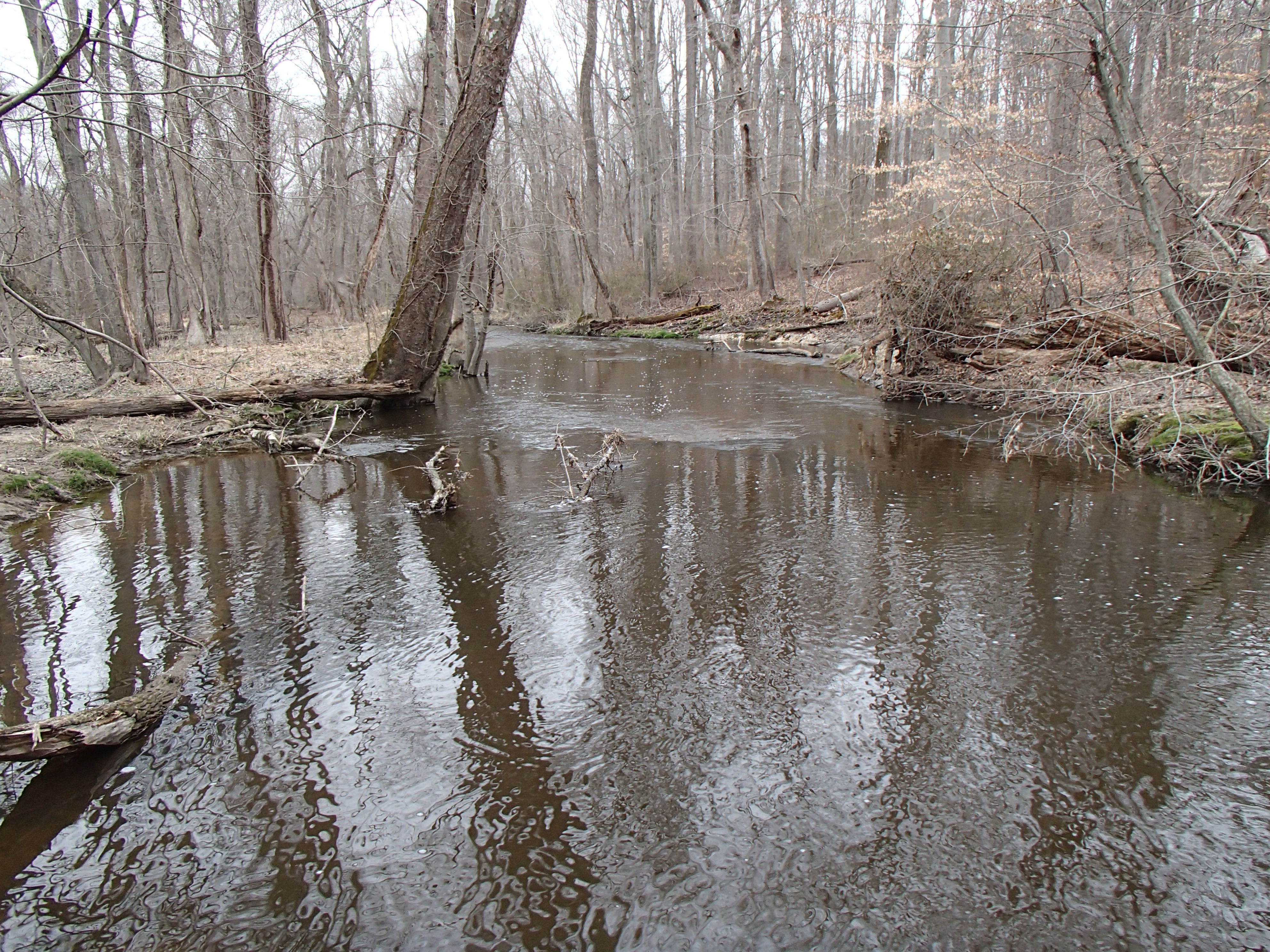 Field photo showing stream conditions at site UPCR-309-R-2015_Midpoint-looking-downstream