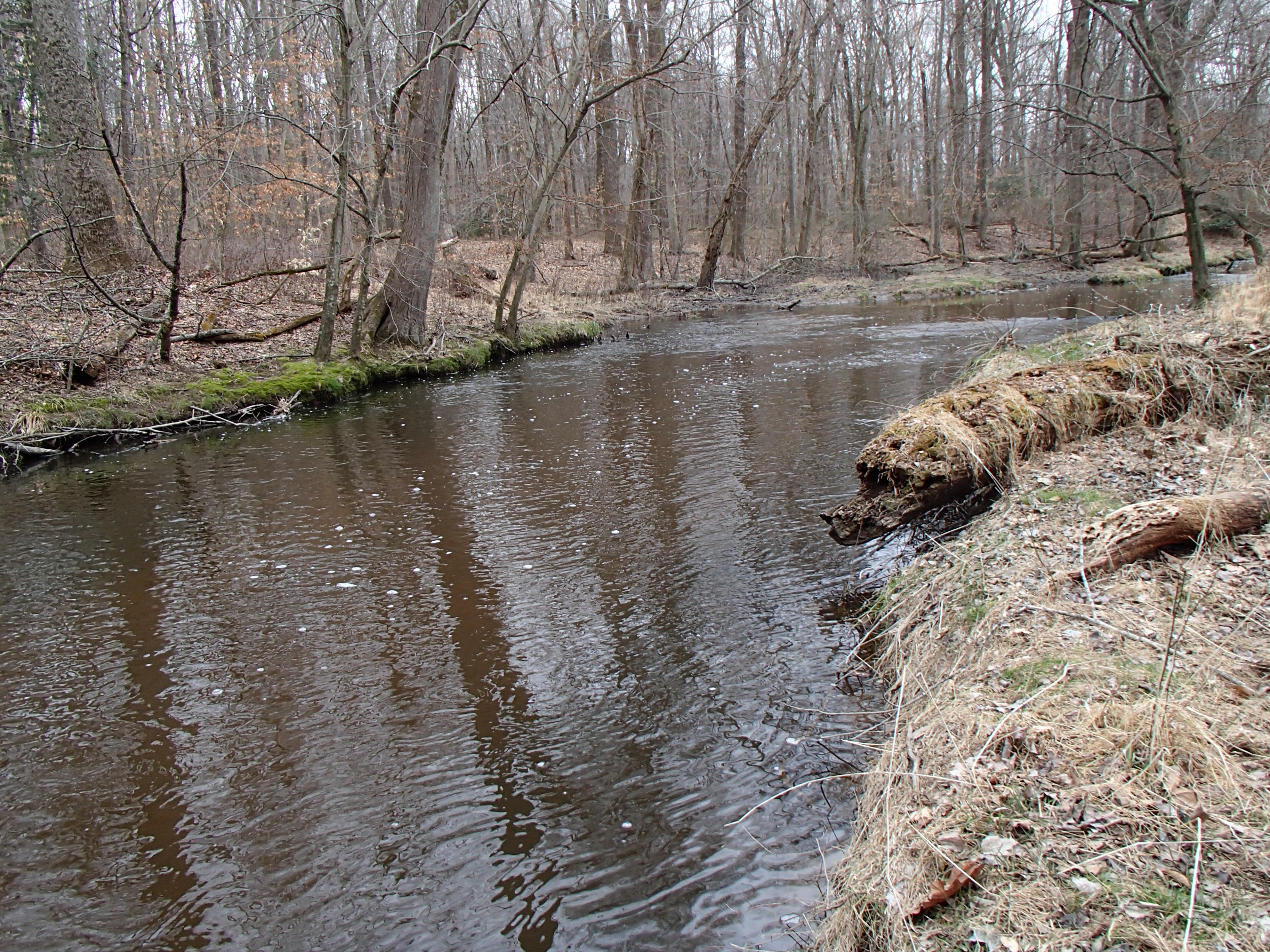Field photo showing stream conditions at site UPCR-309-R-2015_Midpoint-looking-upstream