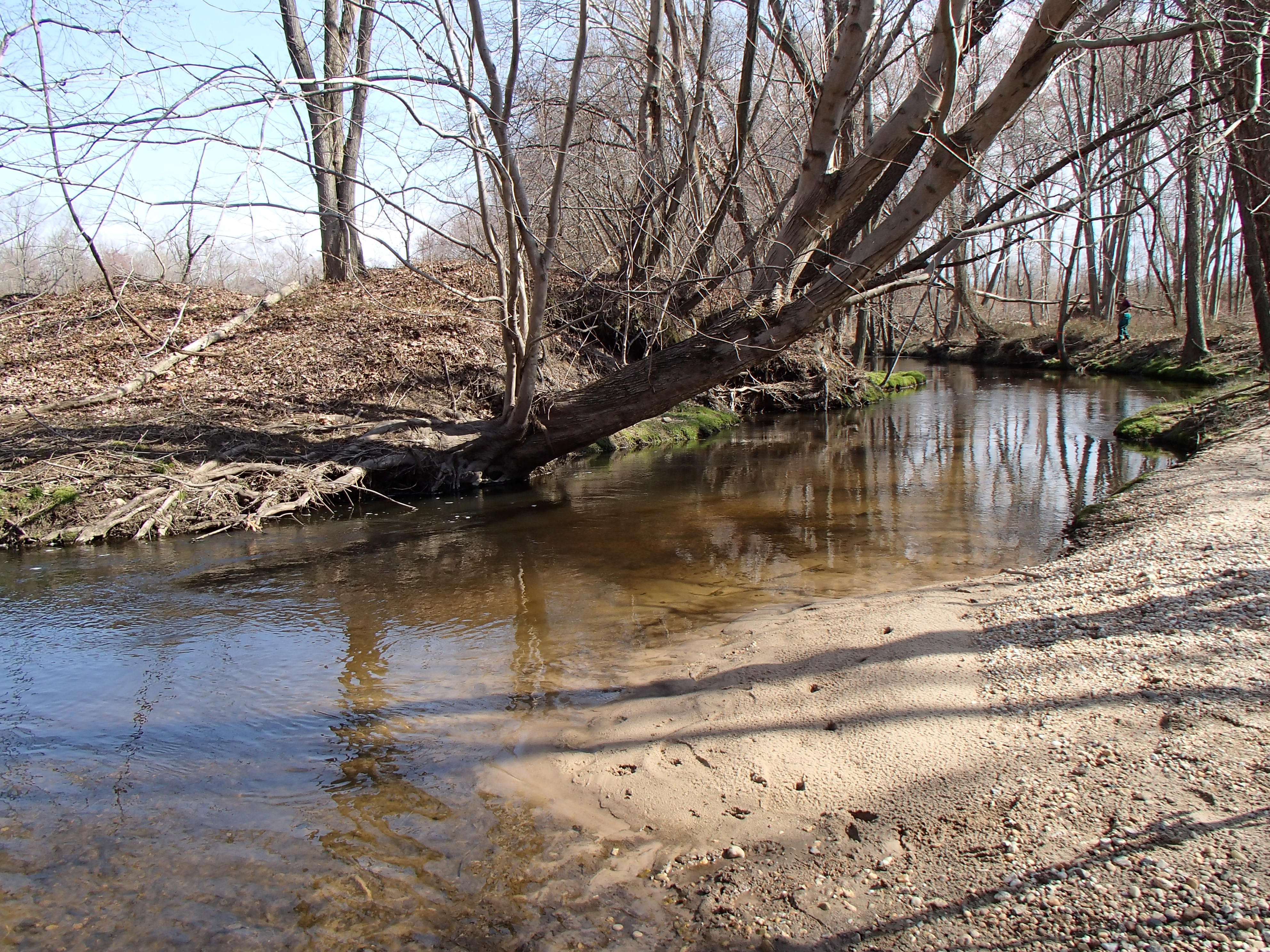 Field photo showing stream conditions at site UPCR-311-R-2015_Midpoint-looking-downstream